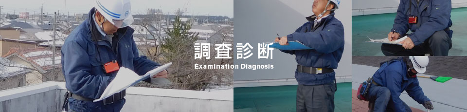 調査診断